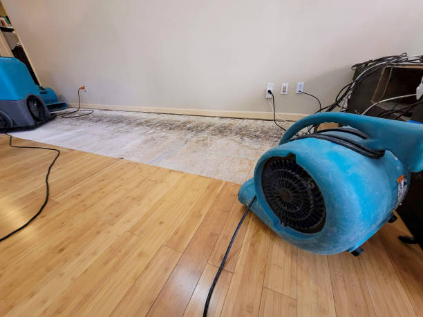 Professional Flood Damage Cleanup technician working in Spangle, WA